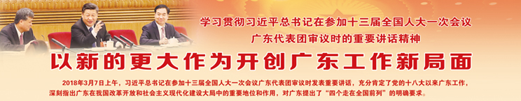 学习贯彻习近平总书记在参加十三届全国人大一次会议广东代表团审议时的重要讲话精神