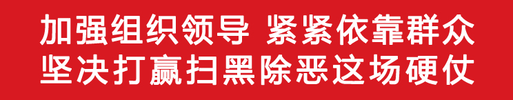 加强组织领导 紧紧依靠群众 坚决打赢扫黑除恶这场硬仗