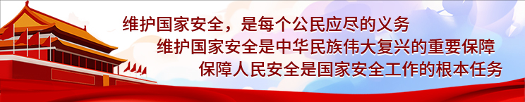 维护国家安全，保障人民安全